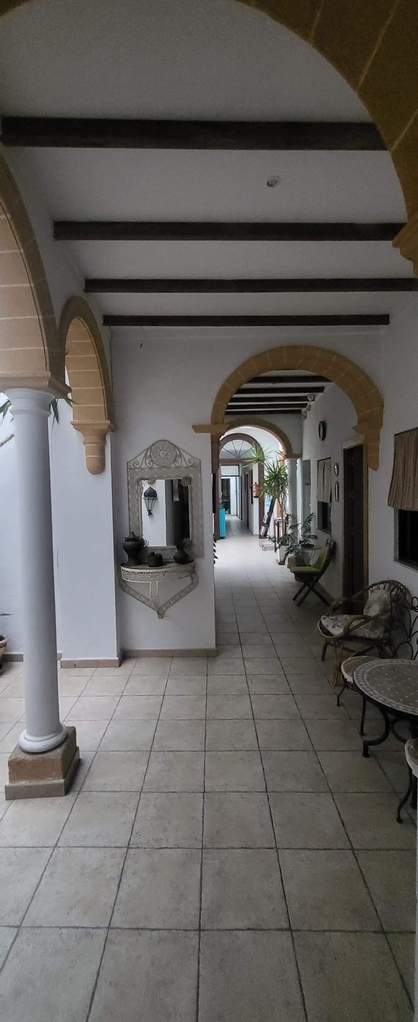 Pasea por el corredor del Hostal Fenix, decorado con elegancia y rodeado de vegetación.